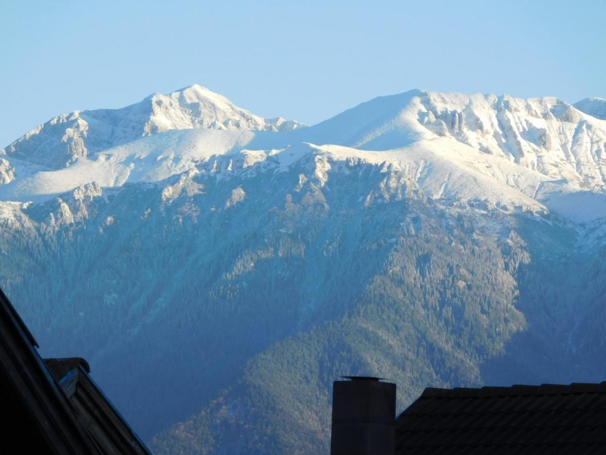 Mountain Vista Suites Zărneşti Dış mekan fotoğraf