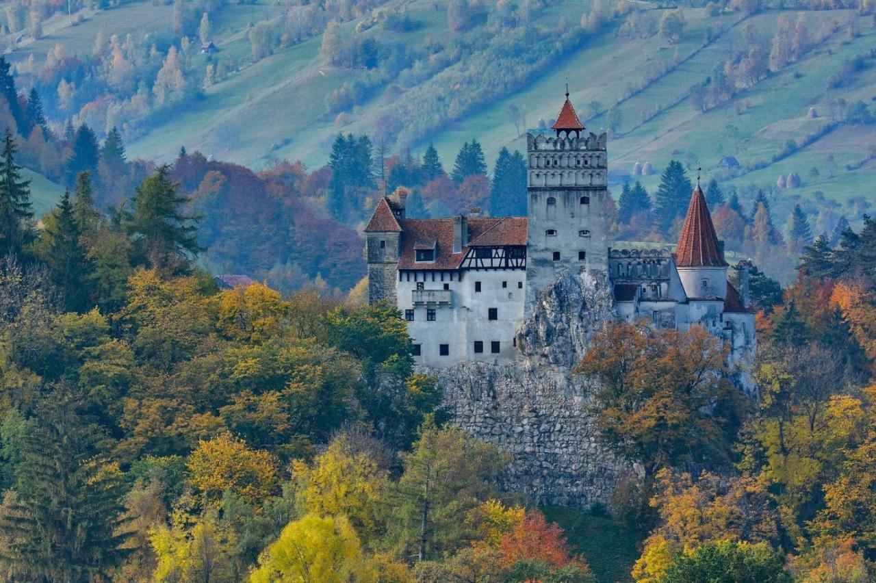Mountain Vista Suites Zărneşti Dış mekan fotoğraf