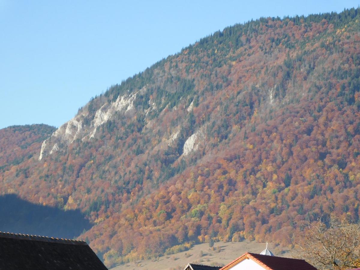 Mountain Vista Suites Zărneşti Dış mekan fotoğraf
