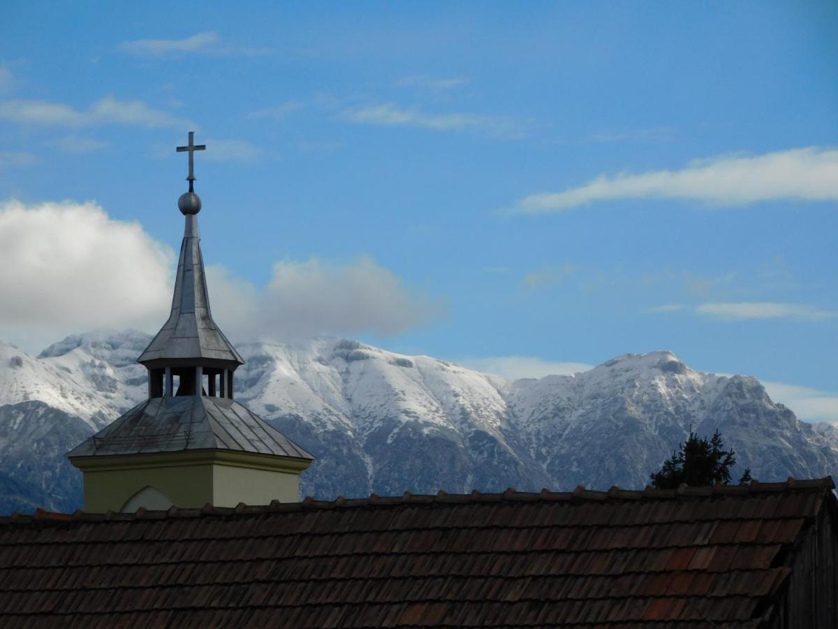 Mountain Vista Suites Zărneşti Dış mekan fotoğraf