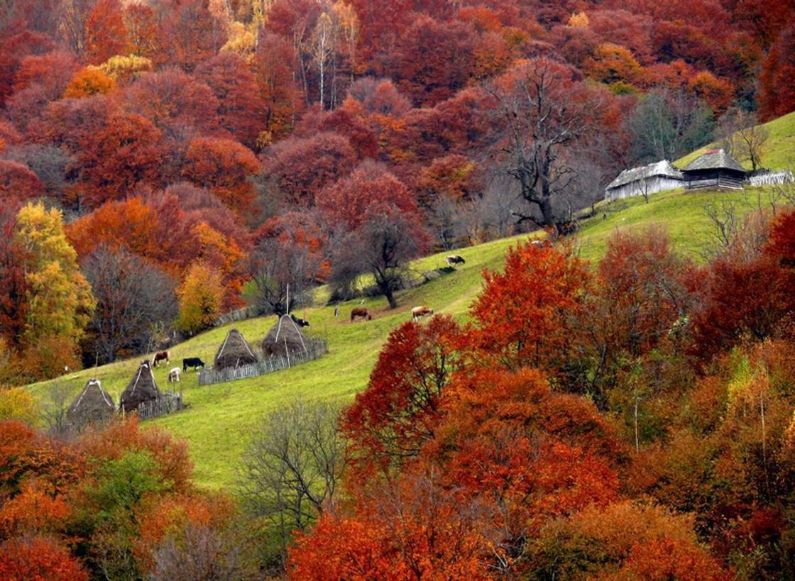 Mountain Vista Suites Zărneşti Dış mekan fotoğraf