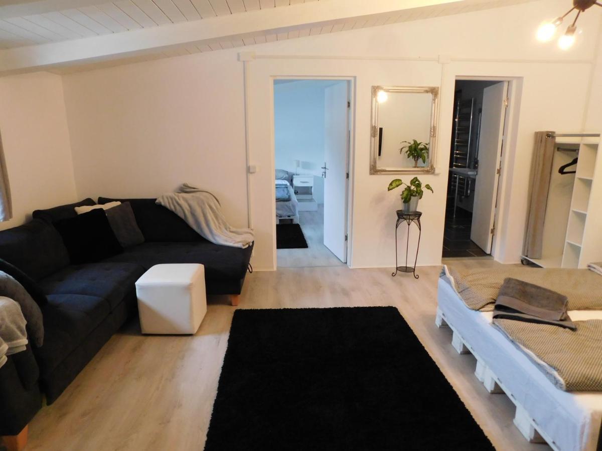 Mountain Vista Suites Zărneşti Dış mekan fotoğraf