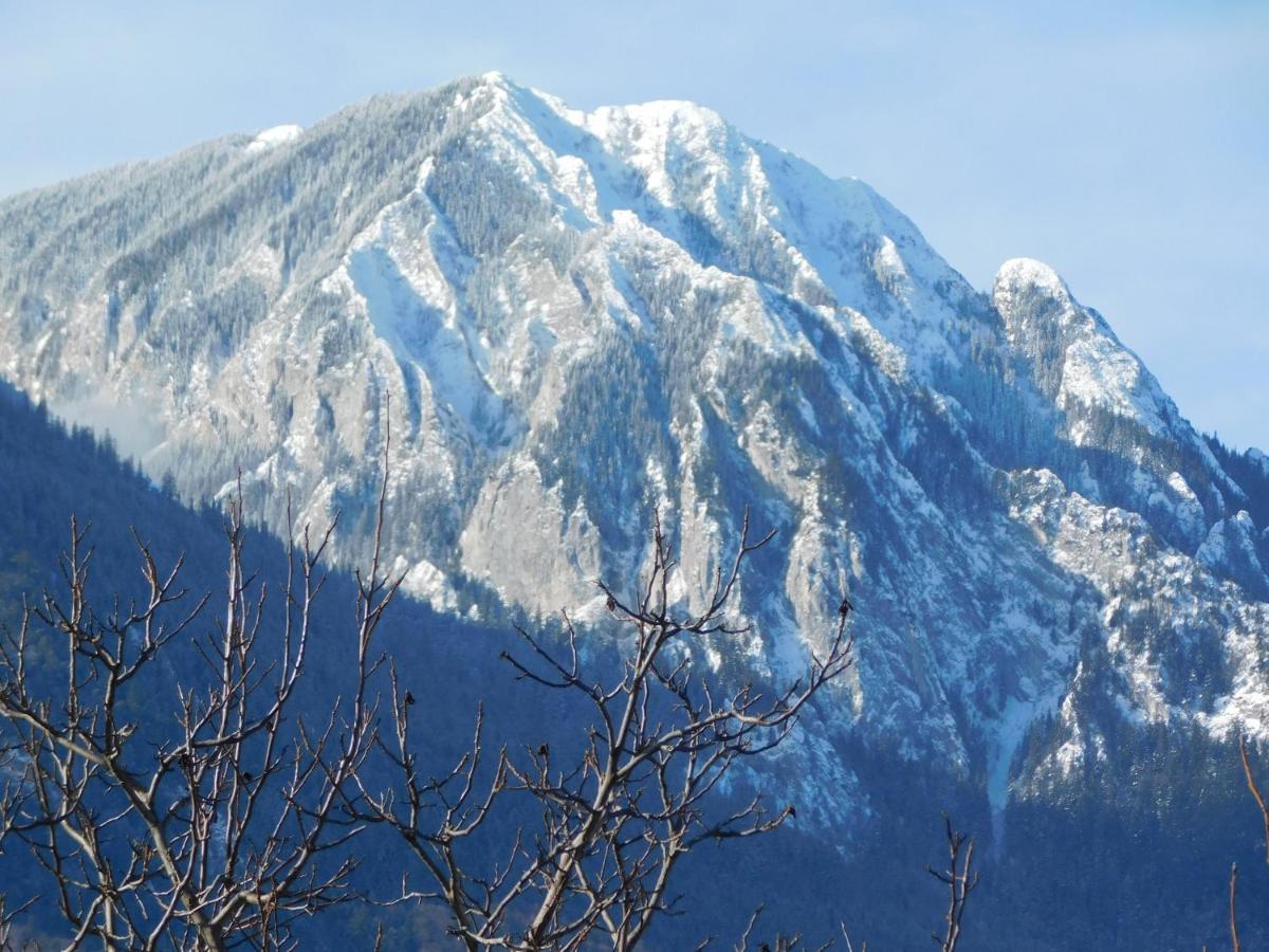Mountain Vista Suites Zărneşti Dış mekan fotoğraf