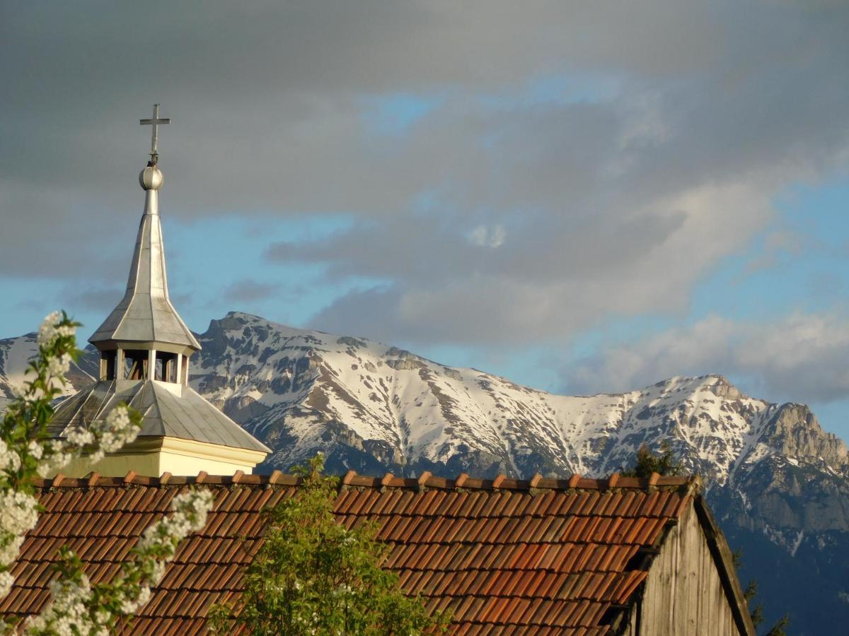 Mountain Vista Suites Zărneşti Dış mekan fotoğraf