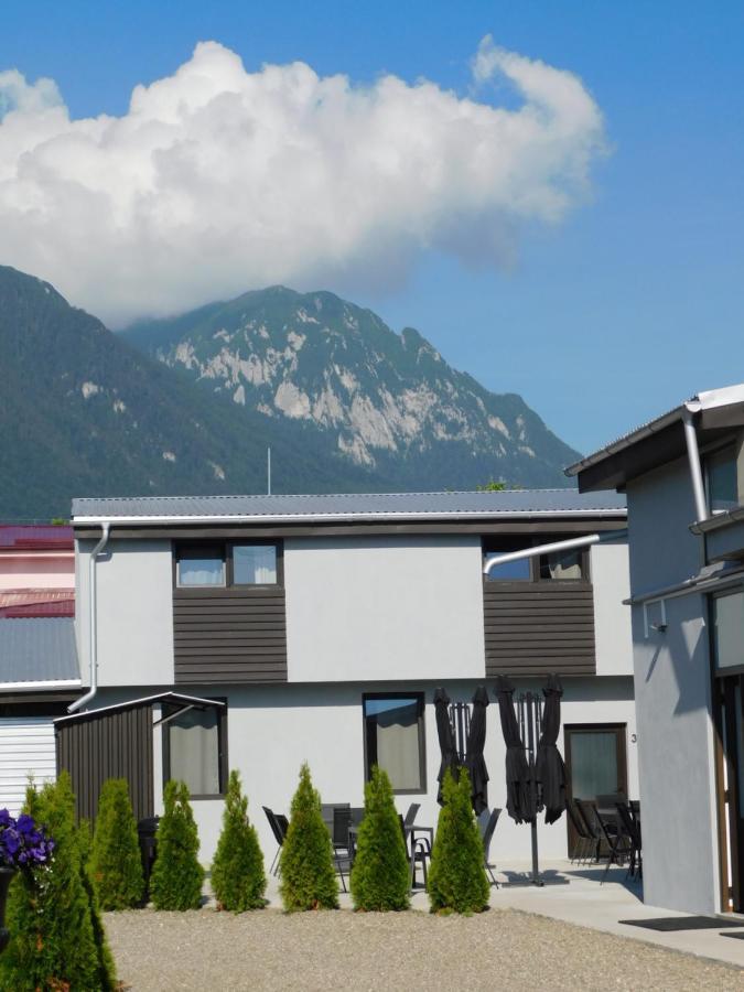 Mountain Vista Suites Zărneşti Dış mekan fotoğraf