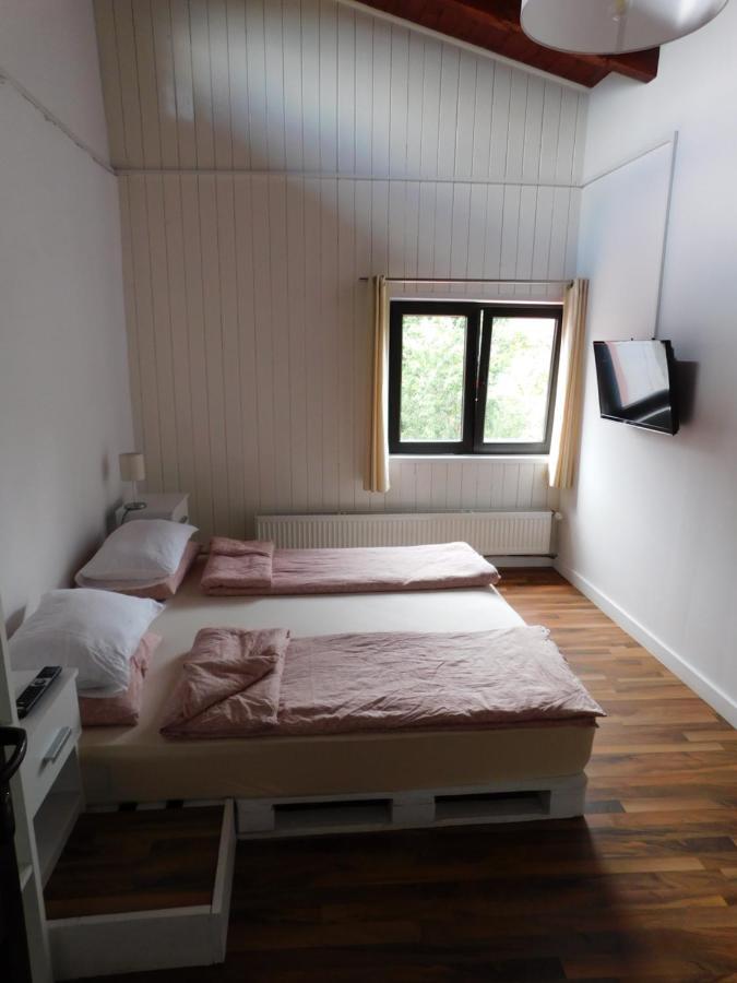 Mountain Vista Suites Zărneşti Dış mekan fotoğraf